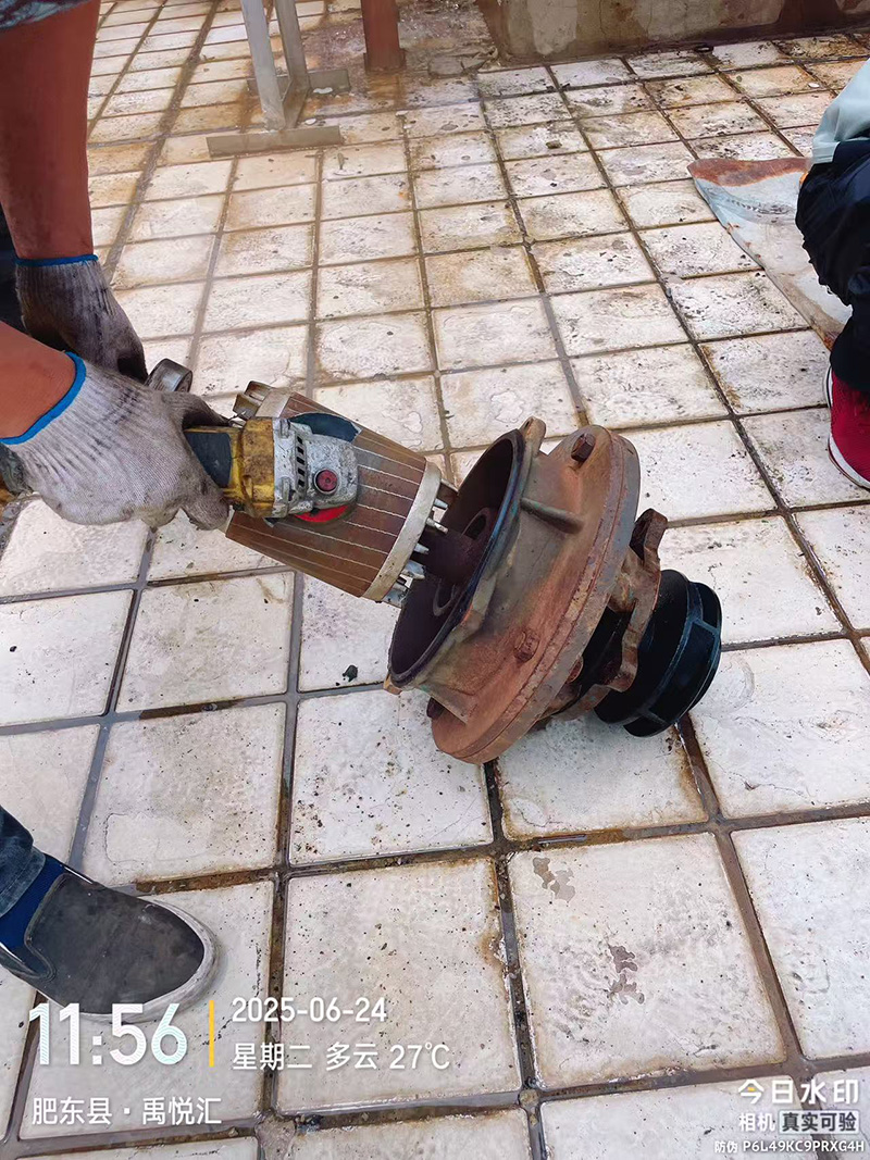 {pboot:alt}
